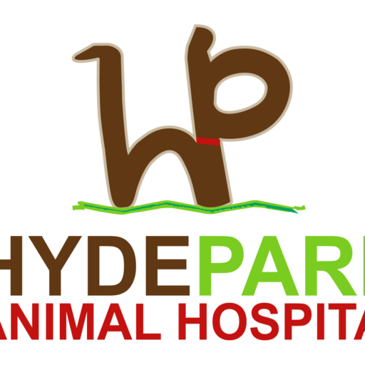 Home Hyde Park Animal Hospital